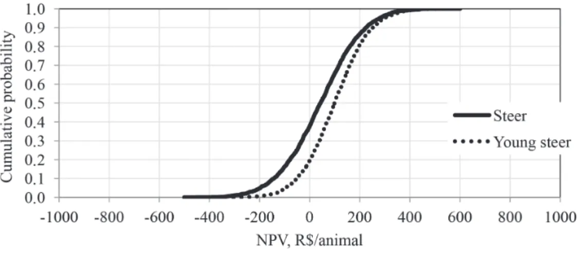 Figure 1 - Distribution of cumulative probability of the Net Present Value (R$/animal) simulated, with  correlation between the input variables, according to the category (R$ = .54 US$).