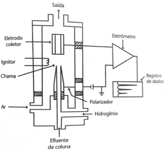 Figura 2.5 – Esquema de um detector por ionização em chama. Fonte: (COLLINS et  al, 2007)
