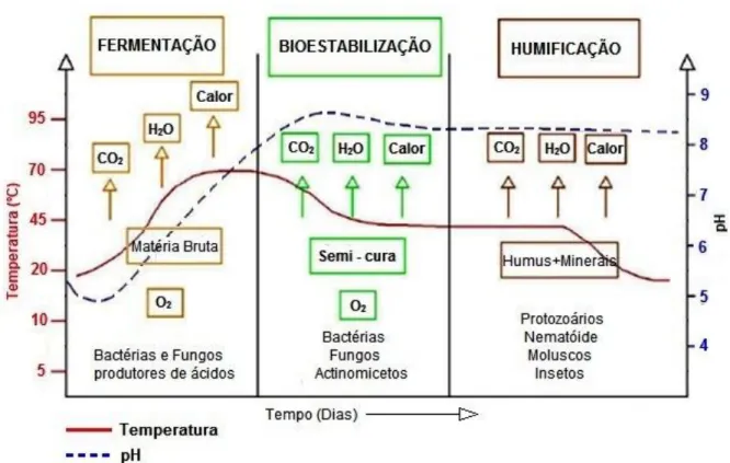 Figura 2.2  –  Fases da compostagem (Fonte: Silva et al, 2009) 