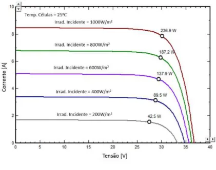 Figura 24. Curvas características fornecidas pelo fabricante dos módulos TPB 156x156-60-P