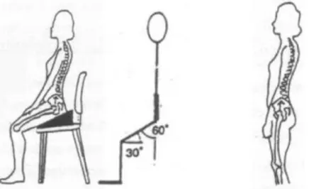Fig. 2 - Representação da coluna vertebral na posição de sentado e em pé (Waterhouse, 2003,  pág.26)