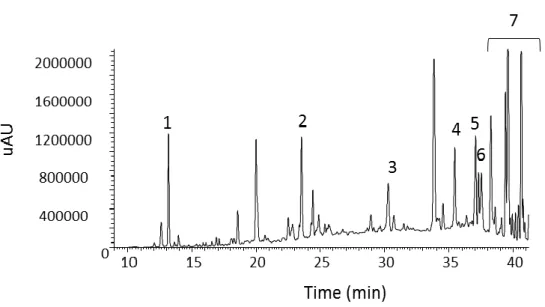 Fig. 2.4 - HPLC chromatogram (280 nm) of  Mimosa tenuiflora (Sp 6) methanolic extract