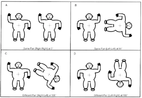 Figura 7. Exemplos dos estímulos usados no teste de rotação mental (Ester, 1998). 