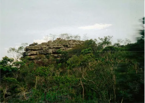 Fig. 3 – Aspecto “ruiniforme” do relevo da Serra do Cabral 5
