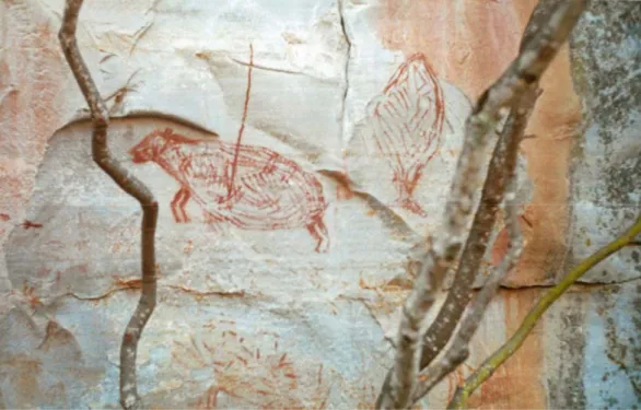 Fig. 6 – Aspecto da arte rupestre da Serra do Cabral. 