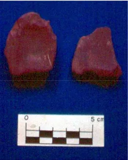 Fig. 12 – Óxido de ferro com vestígios de raspagem. 