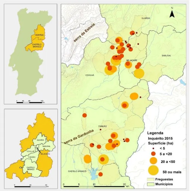 Figura 1.4 – Localização dos pomares de pessegueiros na região da Beira Interior 
