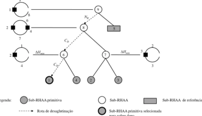 Fig .4. Processo de aglutinação da RHAA usada como  exemplo 