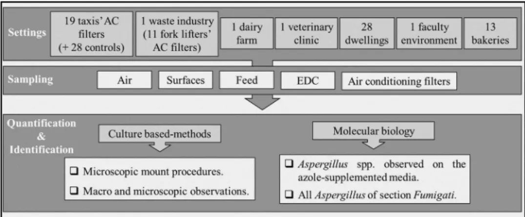 Figure 1. Illustration of settings and methods applied to sampling, to quantify and to identify the isolates, as well the selection criteria to molecular identi ﬁ cation