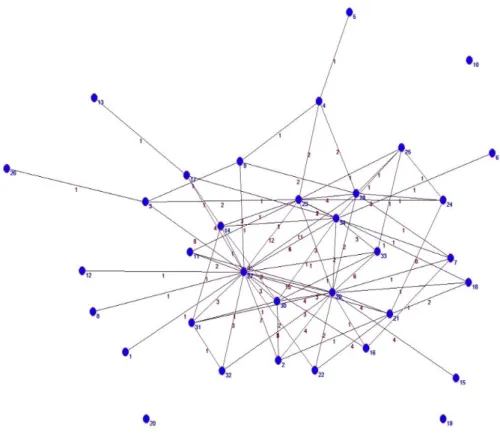 Figura 1 - Rede de relacionamentos do APL saúde de Ceres – Goiás  Fonte: Elaboração própria do autor 