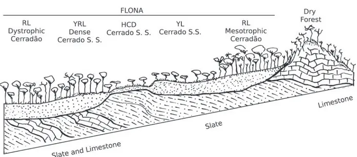 Figure  3  -  Schematic  geomorphologic-soil-vegetation  profile. All  Cerrado  (savanna)  and  Cerradão  (woodland)  phytophysiognomies  occur  in  Paraopeba National Reserve whereas Dry Forest is at northeast bound neighboring site