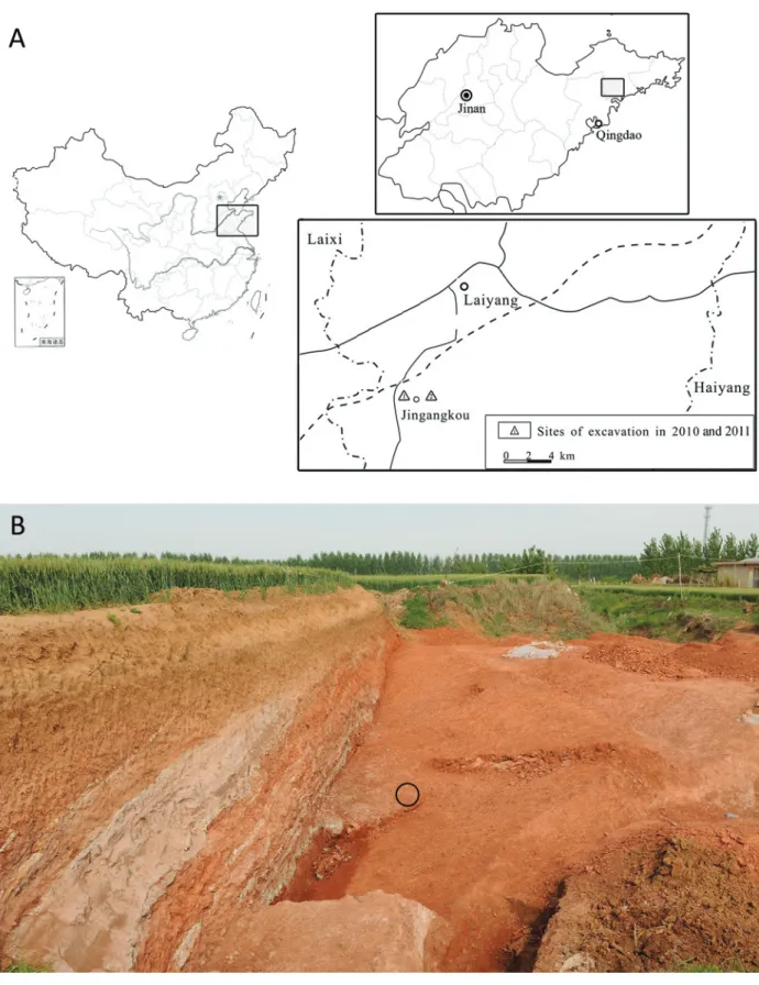 Fig. 1 - Locality of the turtle egg fossil in the Laiyang Basin, Shandong Province.