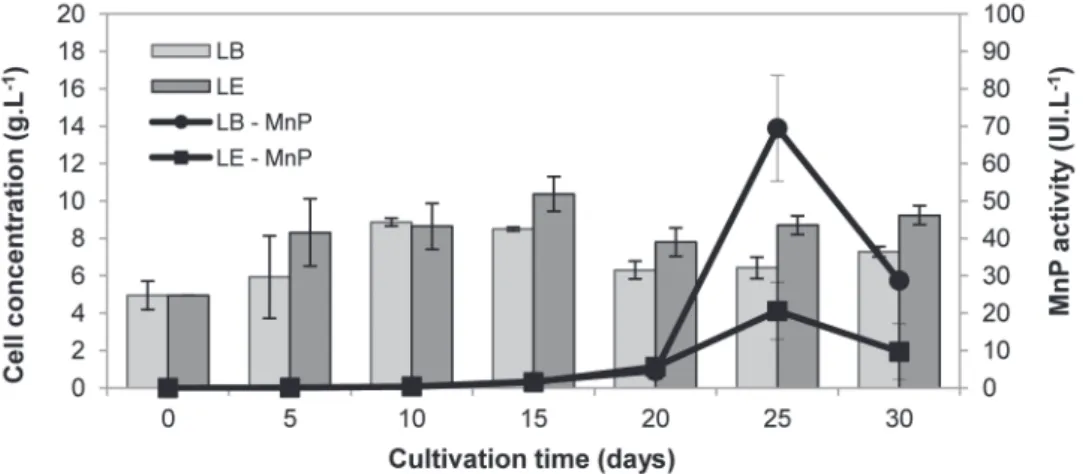 Fig. 1 - Cell concentration and MnP activity during the SS of L. boryana (LB) and L. edodes (LE)