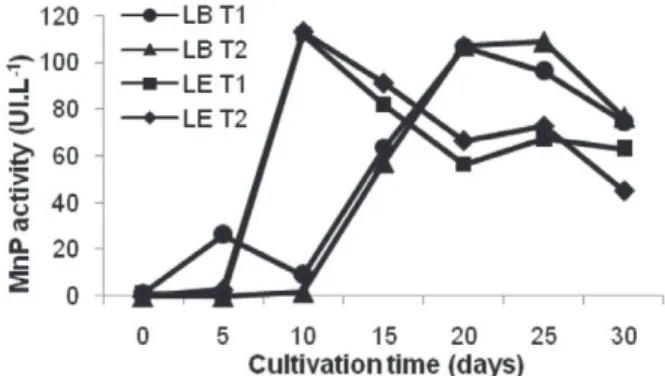 Fig. 3 - MnP activity during the SSF of L. edodes (LE) and L. 
