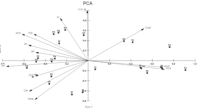 Figure 9 - Principal Component Analysis for the physical-chemical data, TSS, Chlorophyll, Nitrogen (PN, nitrate and DON),  phosphorus (PP, phosphate and DOP) and silicate