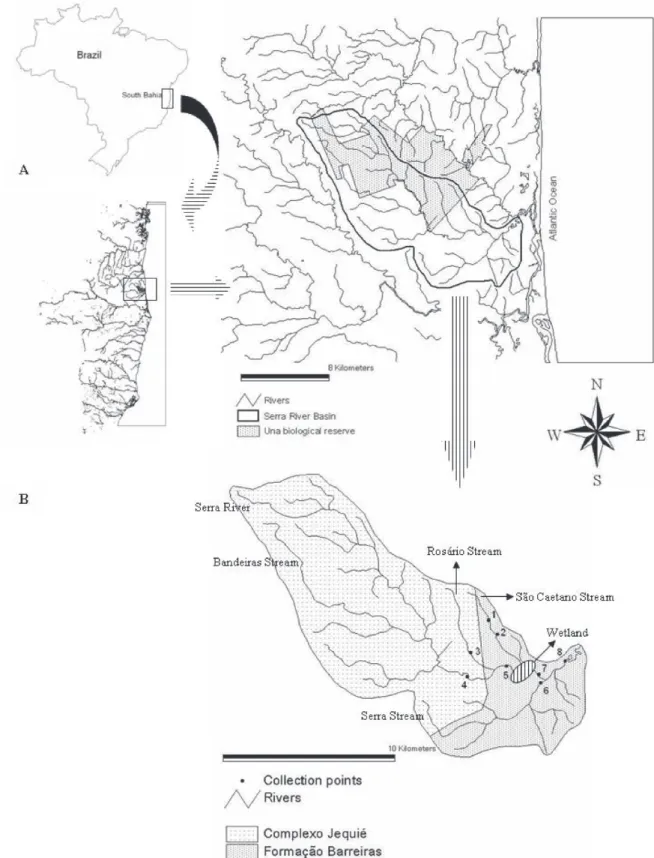 Figure 1 - Map of Rio da Serra Basin. (A) Location of the basin with highlight for the Una Biological Reserve