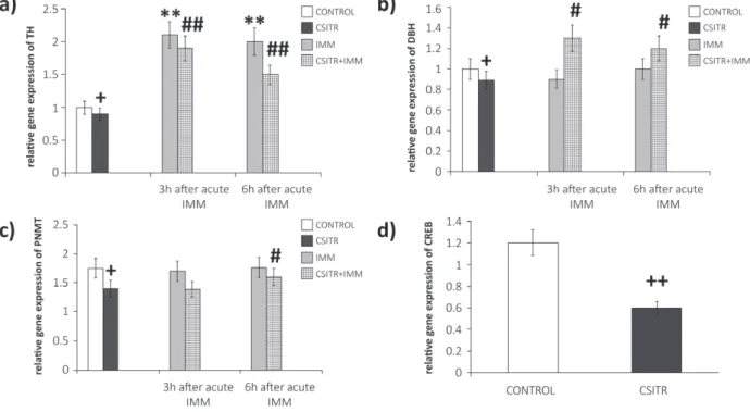 Figure 2 - Effects of chronic social isolation and treadmill running and additional acute immobilization stress on tyrosine  hydroxylase (TH) [a], dopamine-ß-hydroxylase (DBH) [b], phenylethanolamine N-methyltransferase (PNMT) [c] and cAMP  response elemen