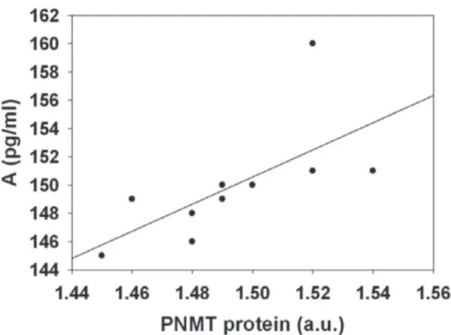 Figure 4 - The correlation between PNMT protein level in the  adrenal medulla and A level in the plasma of animals exposed  to chronic social isolation and treadmill running (Spearman).