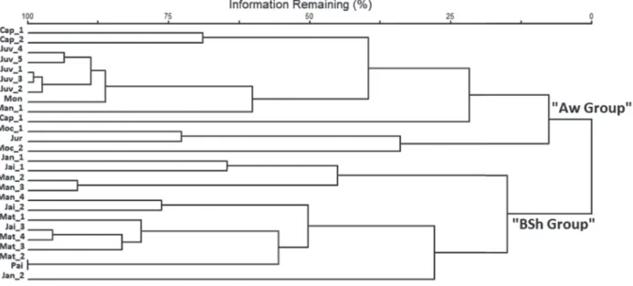 Figure 4 - Dendrogram of similarities between 26 areas of dry forest sensu stricto (DF) in northern Minas Gerais State, as formed  by the agglomerative grouping analysis of 193 genera