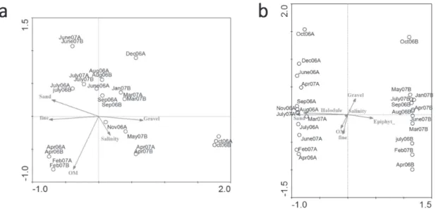 Figure 4 - Canonical Correlation Analysis (CCA) diagrams and samples (months) dispersion of the abundance of  molluscan  (a) and descriptors of community (b)