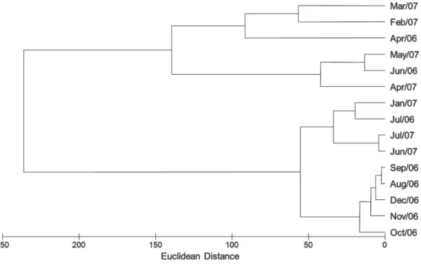 Figure 2 - Euclidean Distance dendrogram of the samples, based on environmental variables obtained throughout  this study in Goiabeiras Beach, Fortaleza-Ceará-Northeastern Brazil.