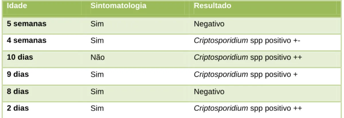 Tabela 4  – Resultados das análises coprológicas para pesquisa de oócistos de  Cryptosporidium  spp
