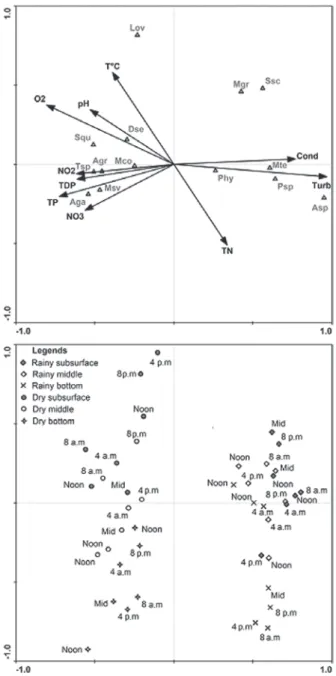 Figure 3 - Nictemeral and Seasonal variations in species  diversity (bits.cel.-1) and equitability in Reis Lake, state of  Roraima, Brazil