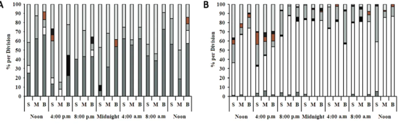 Figure 1 - Nictemeral and Seasonal variations in the relative density of phytoplankton groups (%) on the Reis Lake, state of  Roraima, Brazilian Amazon