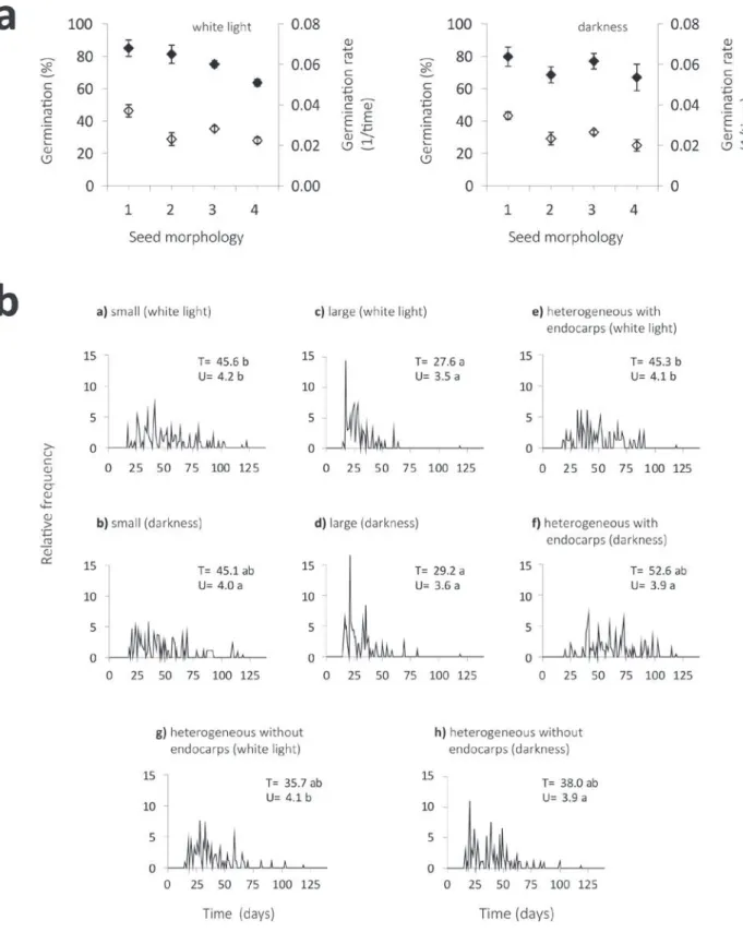 Figure 3 - a) Germination percentages (♦) and rate (◊) of S. camporum seeds, in different seed groups: large (1), small (2), heterogeneous without  endocarps (3) and heterogenous with endocarps (4)