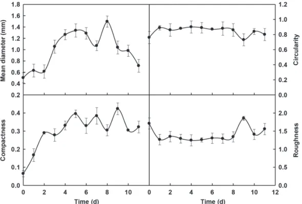 Fig. 4 - Mean diameter (A), circularity (B), compactness (C) and roughness (D) of P. geesteranus 5 #  pellets  growing in a stirred-tank fermenter.