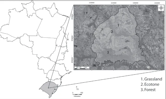 Figure 1 - Study site localization. Army Field Instructions of Santa Maria, Rio Grande do Sul, Brazil