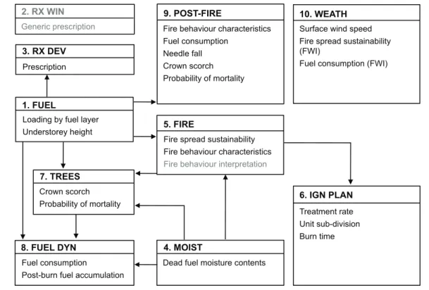 Fig.   2.   Components   and   input-­‐output   flow   diagram   of   PiroPinus.   The   arrows   show   the   logical   flow   direction