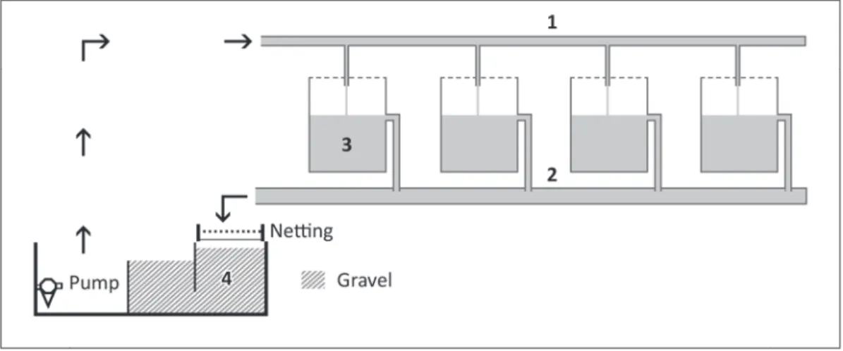 Figure 2 - Scheme of the water recirculation closed system (1: Water Supply Piping Provision – 2: Water  Drainage Pipe – 3: Tank – 4: Biological Filter).