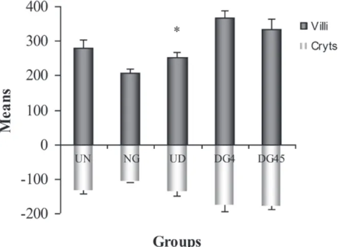 Figure 5 - villi height (µm) and crypts depth (µm) in the ileum  mucosa of untreated normoglycaemic rats (UN),  L-glutamine-treated normoglycaemic (NG), unL-glutamine-treated diabetic (UD),  L-glutamine-treated diabetic (DG4) and (DG45)