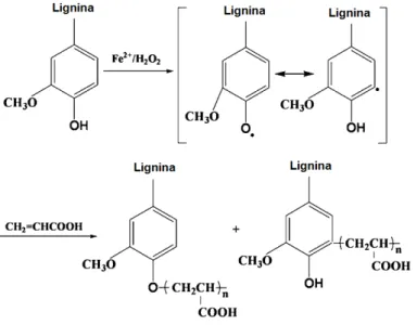 Figura 12- Preparação da lignina enxertada com ácido acrílico. 