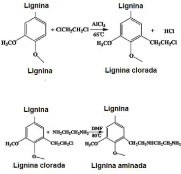 Figura 13- Preparação da lignina clorada e posteriormente aminada. 