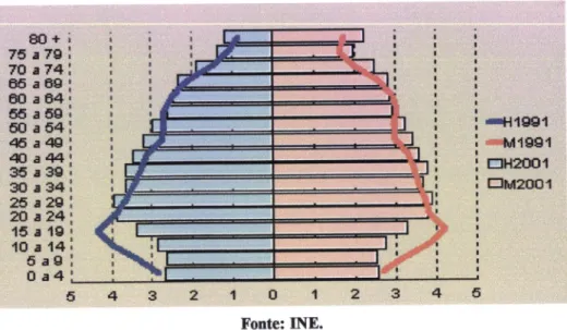 Figura  I  -  Pirâmide  Etária  da  População Portuguesa  entre  l99ll200l