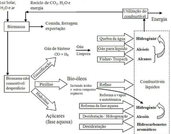 Figura 2.1-Processo de produção de energia através da biomassa    Fonte: TANKSALE et al