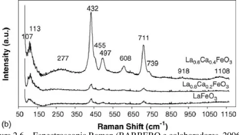 Figura 2.6 – Espectroscopia Raman (BARBERO e colaboradores, 2006). 