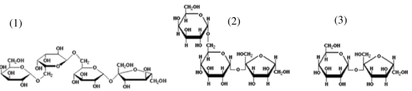 Figura 3.2 –  Estrutura molecular dos principais açúcares da soja (1) estaquiose, (2) rafinose e  (3) sacarose.