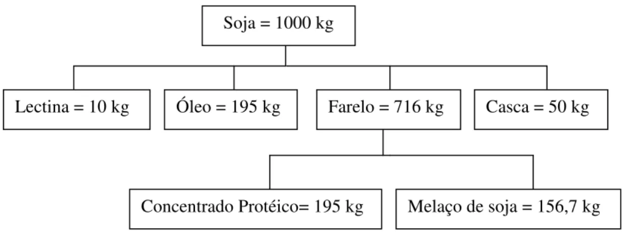 Figura 3.4 –  Fluxograma do balanço de massa para processamento da soja. (adaptado  Siqueira, 2007) 