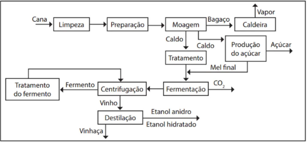 Figura  1.6  -  Processo  simplificado  da  produção  de  etanol  de  primeira  geração  e  de  açúcar,  considerando-se  o  uso  do  bagaço  para  cogeração  de  energia  (ZANARDI;  COSTA  JUNIOR, 2016)