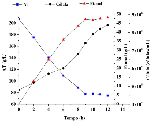 Figura 4.1: Perfis de consumo de substrato, crescimento celular e produção de etanol em  função do tempo