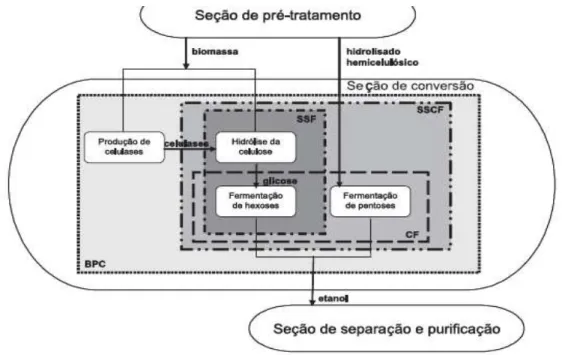 Figura 2.9- Formas de integração das etapas de conversão de biomassas lignocelulósicas em  etanol (CASTRO et al., 2010)