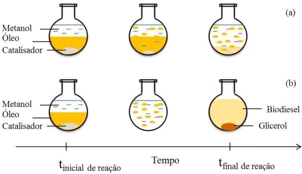 Figura 3.6 - Representação esquemática dos efeitos de emulsificação do ultrassom na produção de  biodiesel (a) sem ultrassom (b) com ultrassom