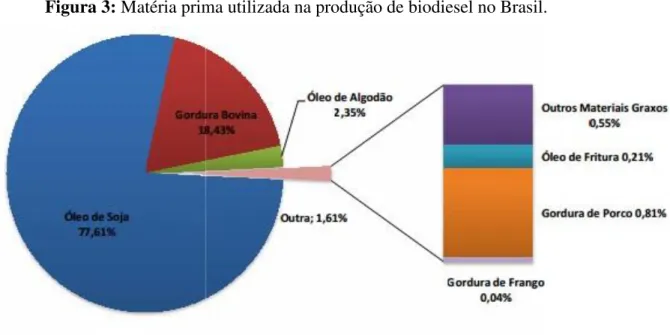 Figura 3: Matéria prima utilizada na produção de biodiesel no Brasil. 