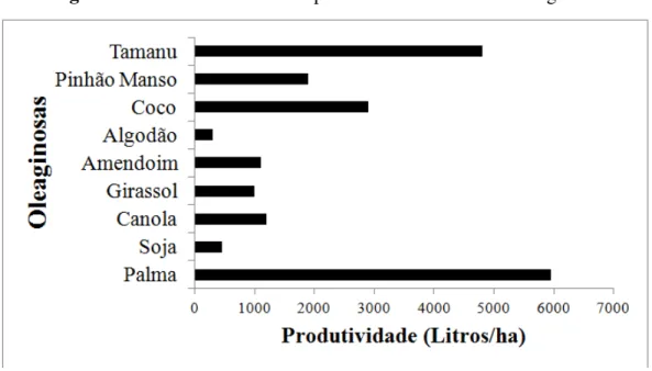 Figura 5: Produtividade de óleo por hectare de diferentes oleaginosas 