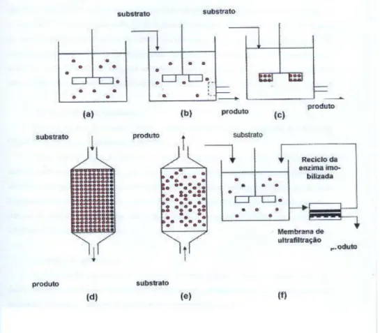 Figura 2.6 – Exemplos de reatores para enzimas imobilizadas (VICENTE,  2000).  