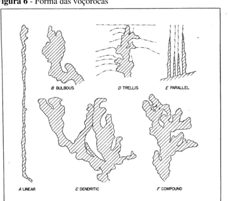 Figura 6 - Forma das voçorocas 