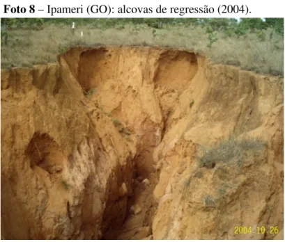 Foto 8 – Ipameri (GO): alcovas de regressão (2004). 